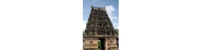 திருக்குறுக்கை - கமரி